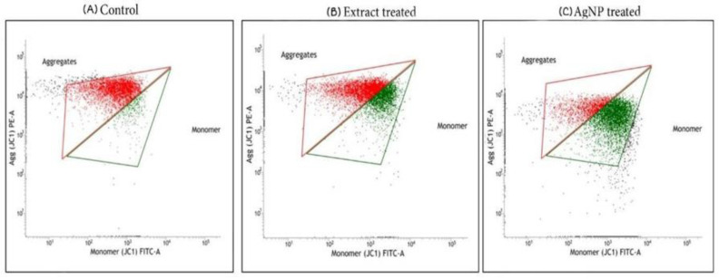 Figure 12