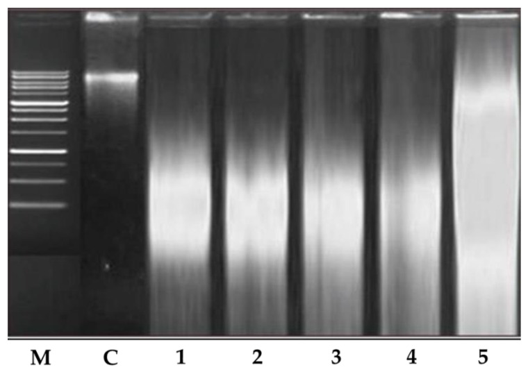 Figure 13