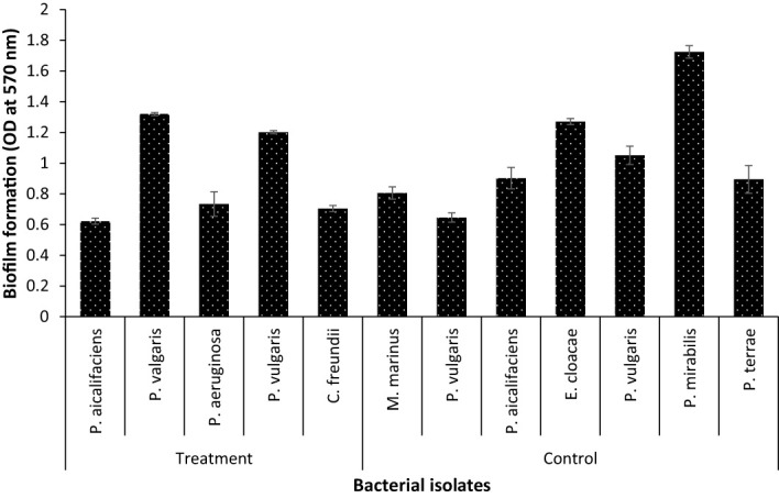 Figure 5