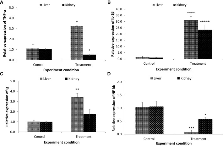 Figure 6