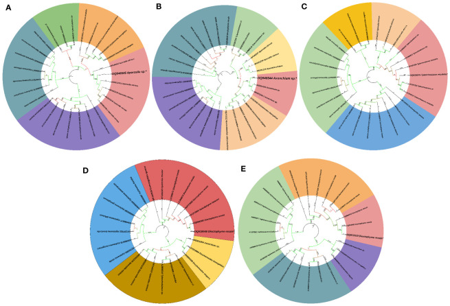 Figure 3