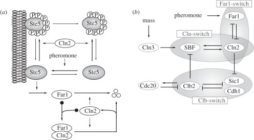 Figure 3.