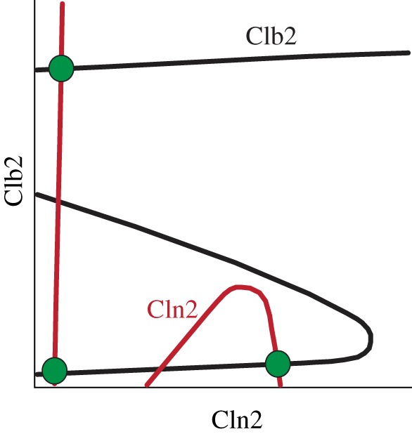 Figure 7.