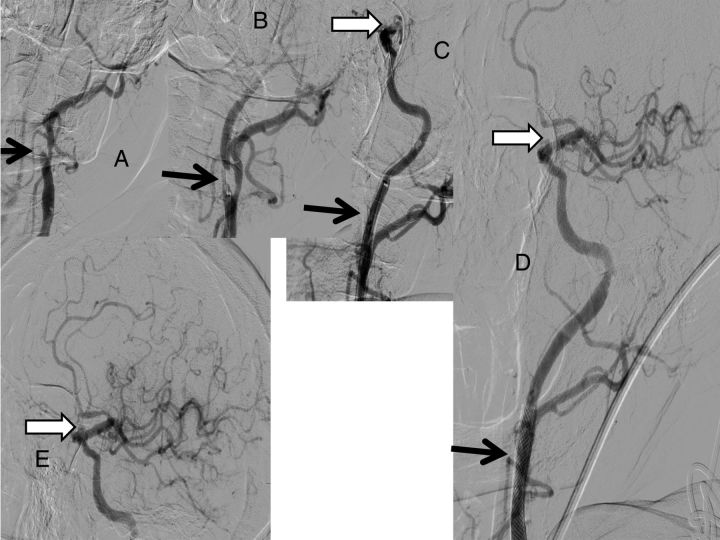 Figure 2