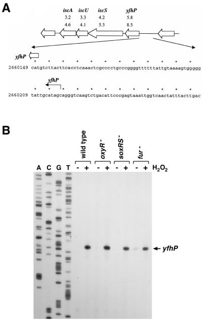 FIG. 5