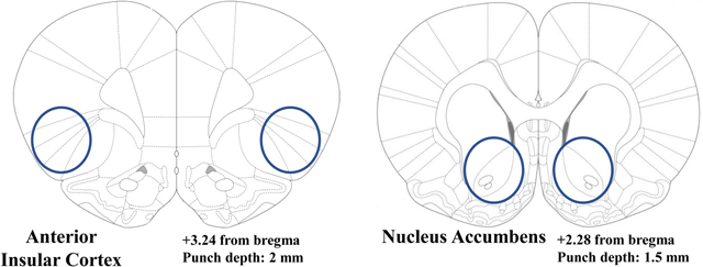 graphic file with name nihms-1854334-t0002.jpg