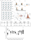 Flow cytometry analysis of VHH-Fc binding to IFNa2, Sanger sequencing results for contiguous tyrosines, isoaffinity plot showing binding affinities, Levenshtein distance analysis of HCDR3 sequences, and summary of binding statistics and affinities for v1 and v2 populations.