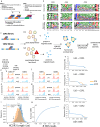Library design schematic, sequence logos displaying human and alpaca CDR diversity, yeast filtering schematic, flow cytometry histograms, NGS sequencing results, CDR3 length distribution, and species accumulation plot to analyze the diversity and functionality of CDRs in VHH libraries.