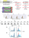 Analysis of poly-tyrosine regions and their targeted degradation, Weblogo representations of HCDR3, NGS analysis for contiguous tyrosines, evaluation of CDR libraries under heat shock, and flow cytometry results for pre- and post-heat shock populations.
