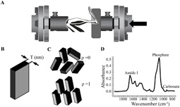 Fig.1