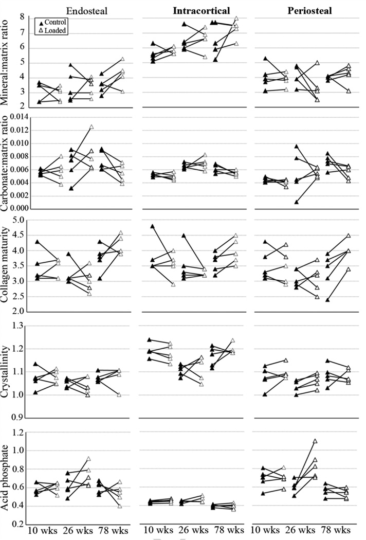 Fig.2