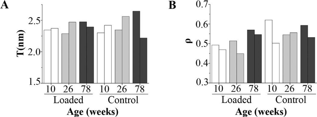 Fig.4