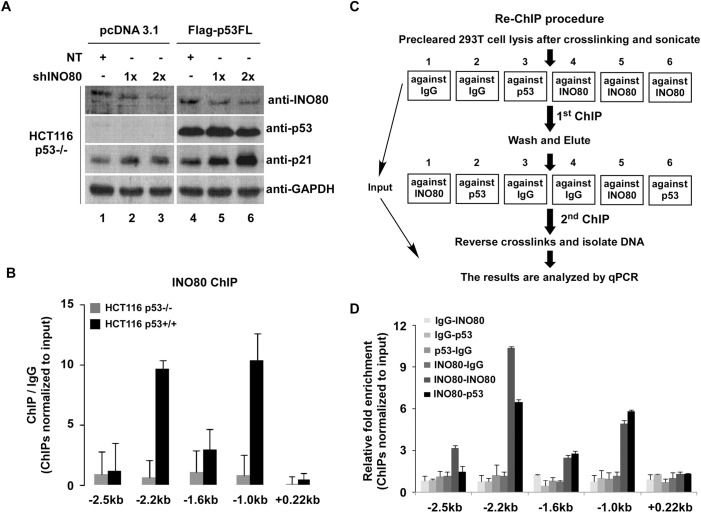 Fig 6