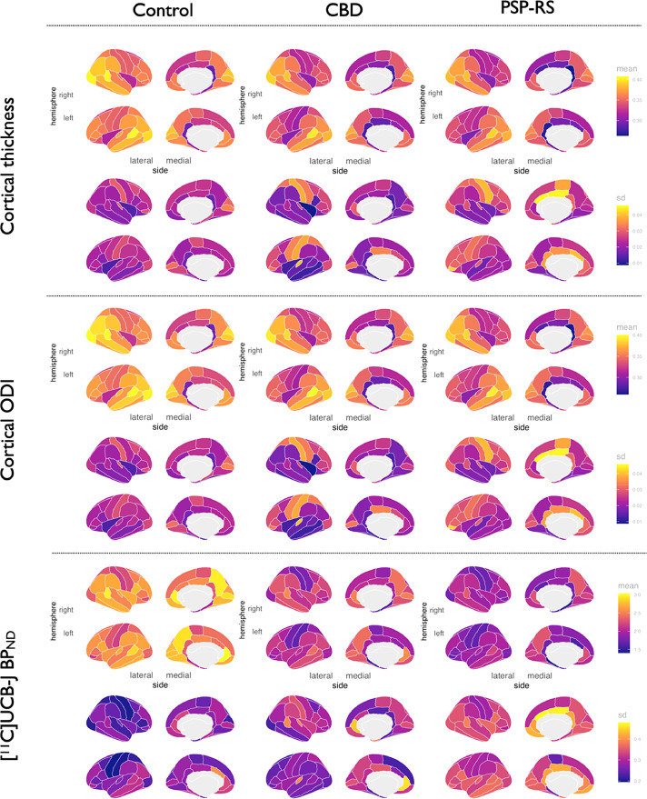 Fig. 1