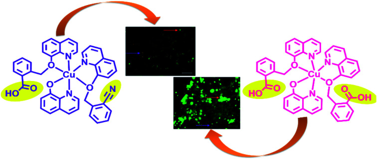 graphic file with name d1ra00172h-ga.jpg