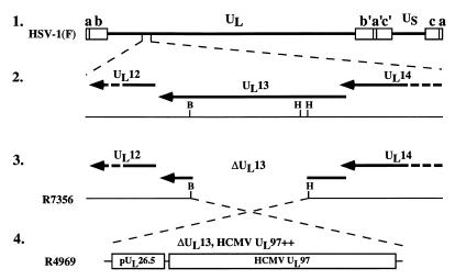 FIG. 1