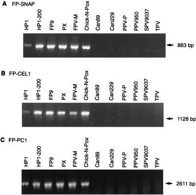 FIG. 5