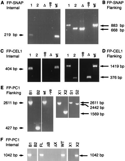 FIG. 7