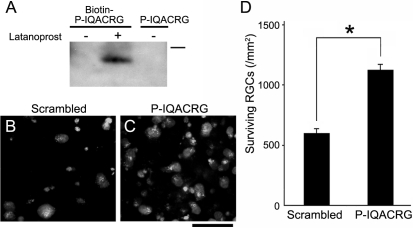 Figure 9.