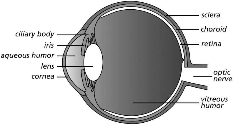 FIG. 12.