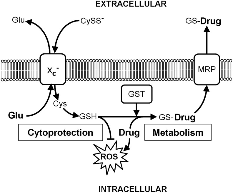 FIG. 10.