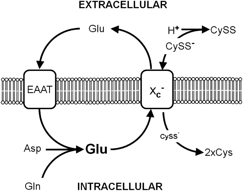 FIG. 5.