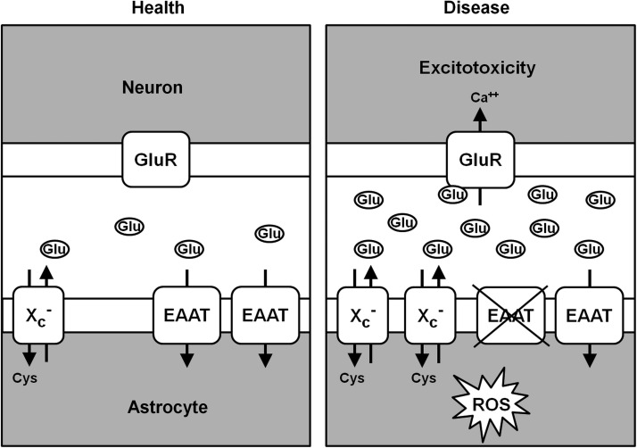 FIG. 15.