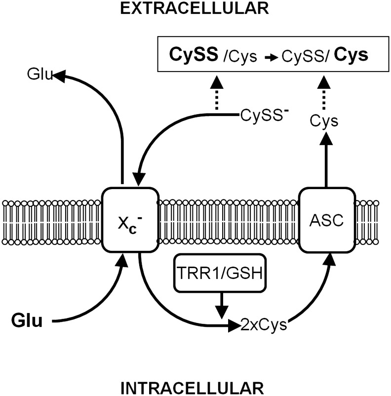 FIG. 6.