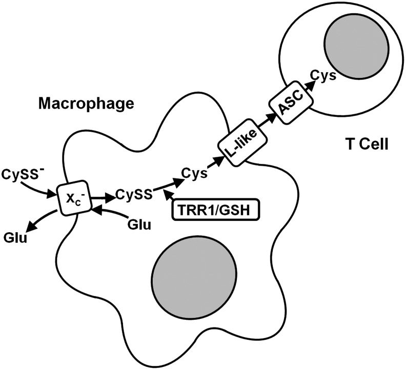 FIG. 9.