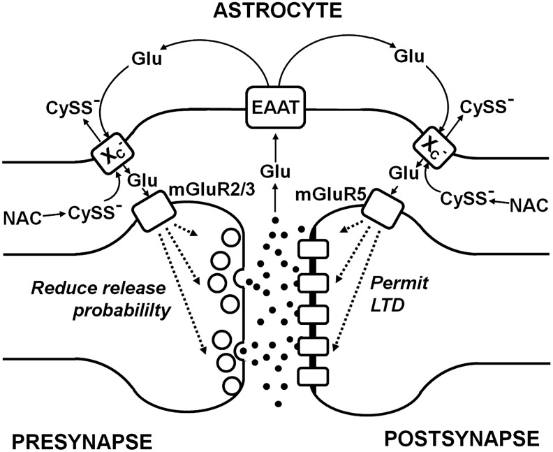 FIG. 16.