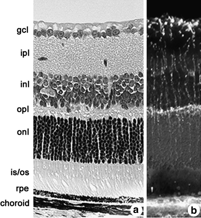 FIG. 13.