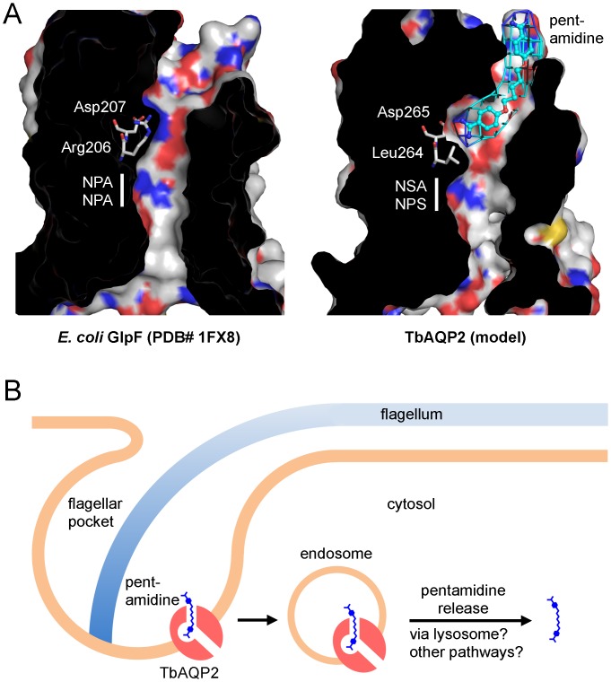 Fig 4