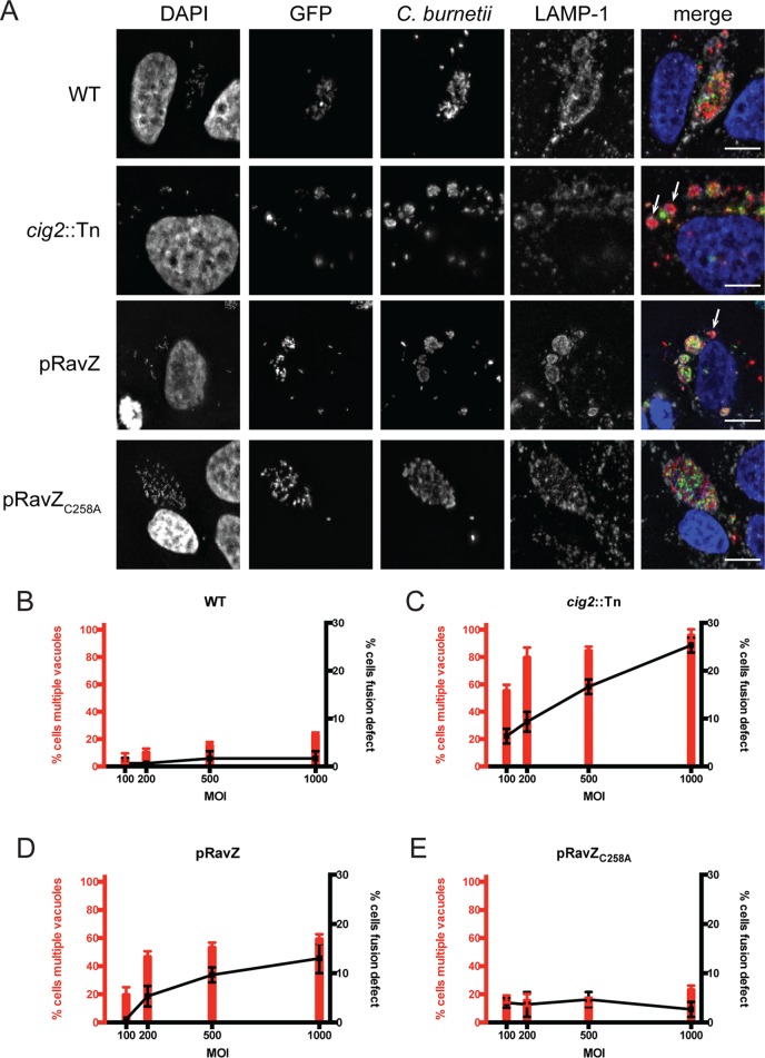 FIG 4 