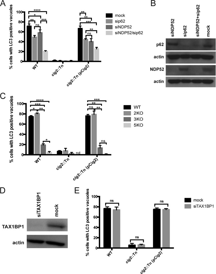 FIG 3 