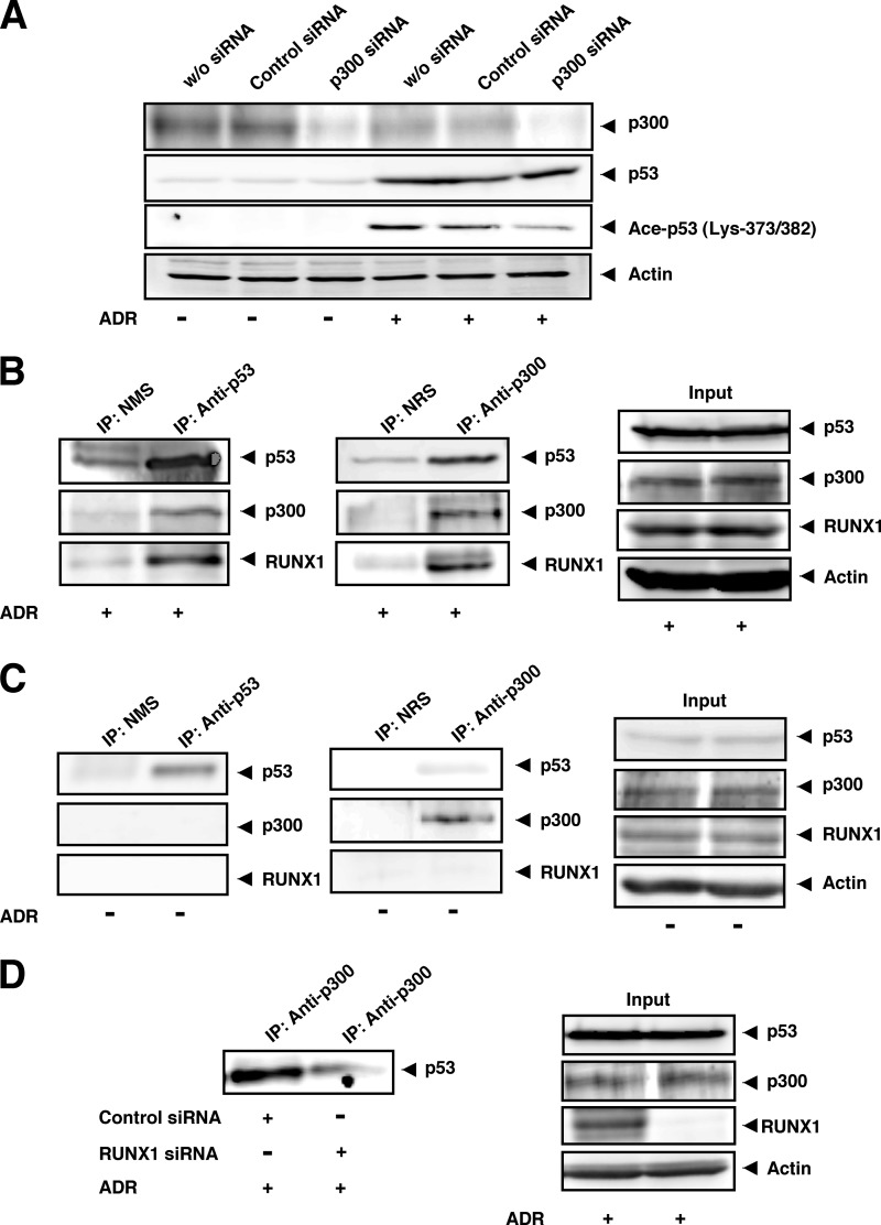 FIGURE 10.