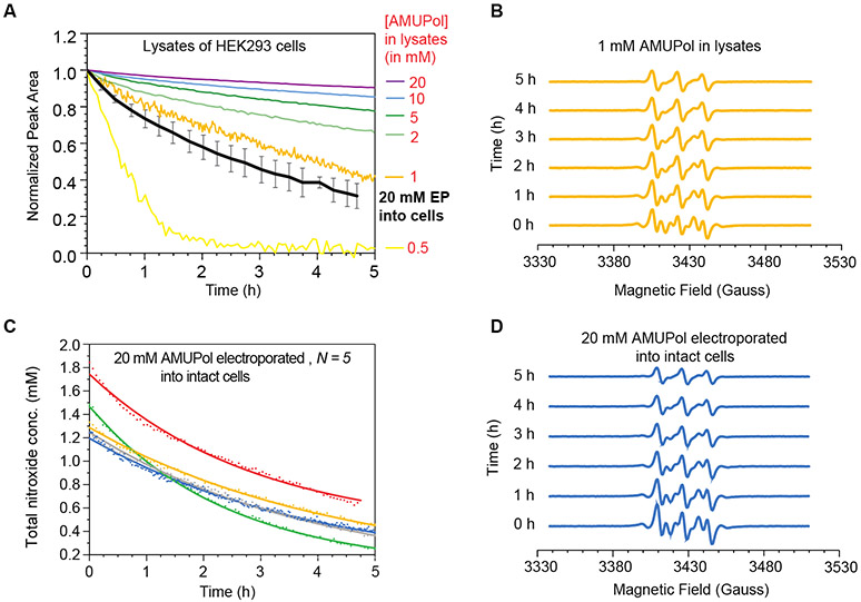 Figure 2: