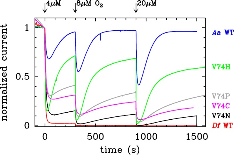 Fig. 4.