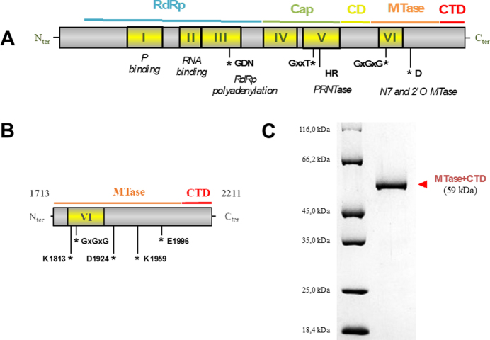 Figure 1.