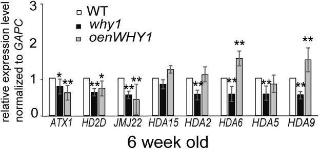 FIGURE 6