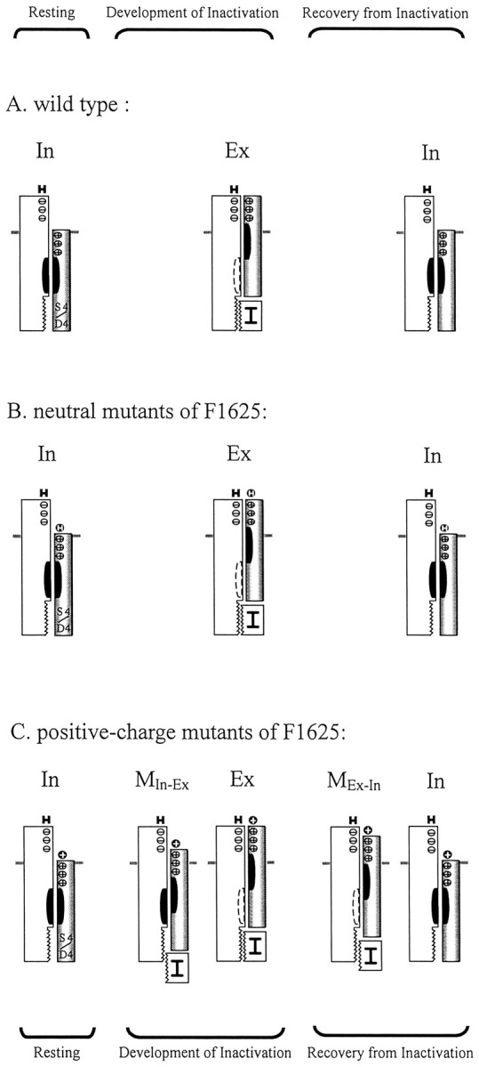 Figure 8.