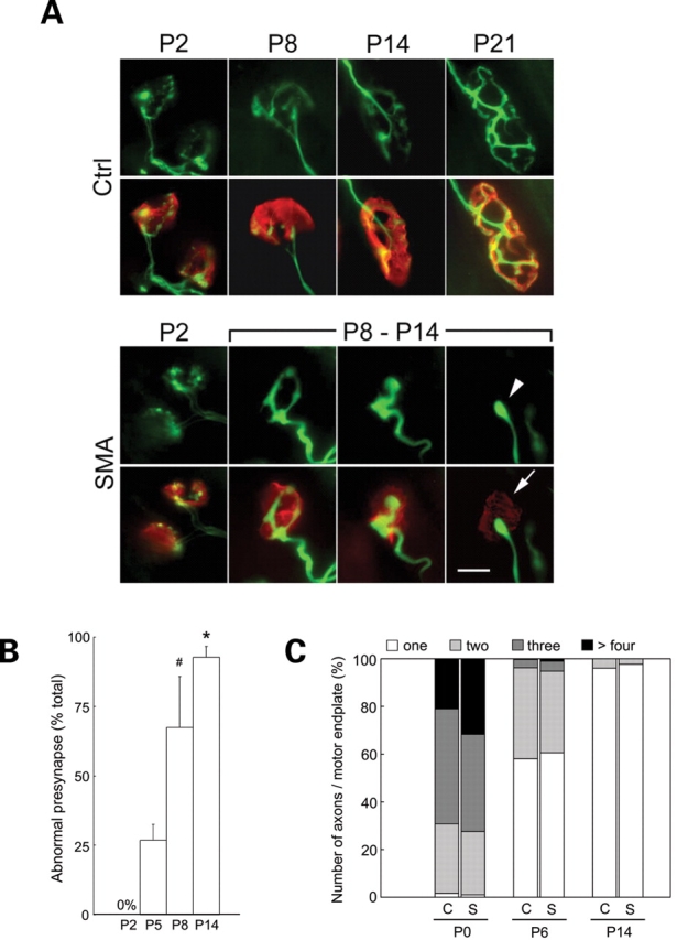 Figure 2.