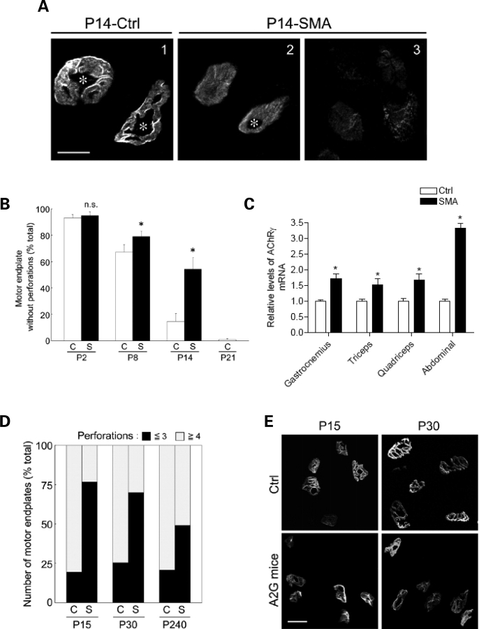 Figure 6.