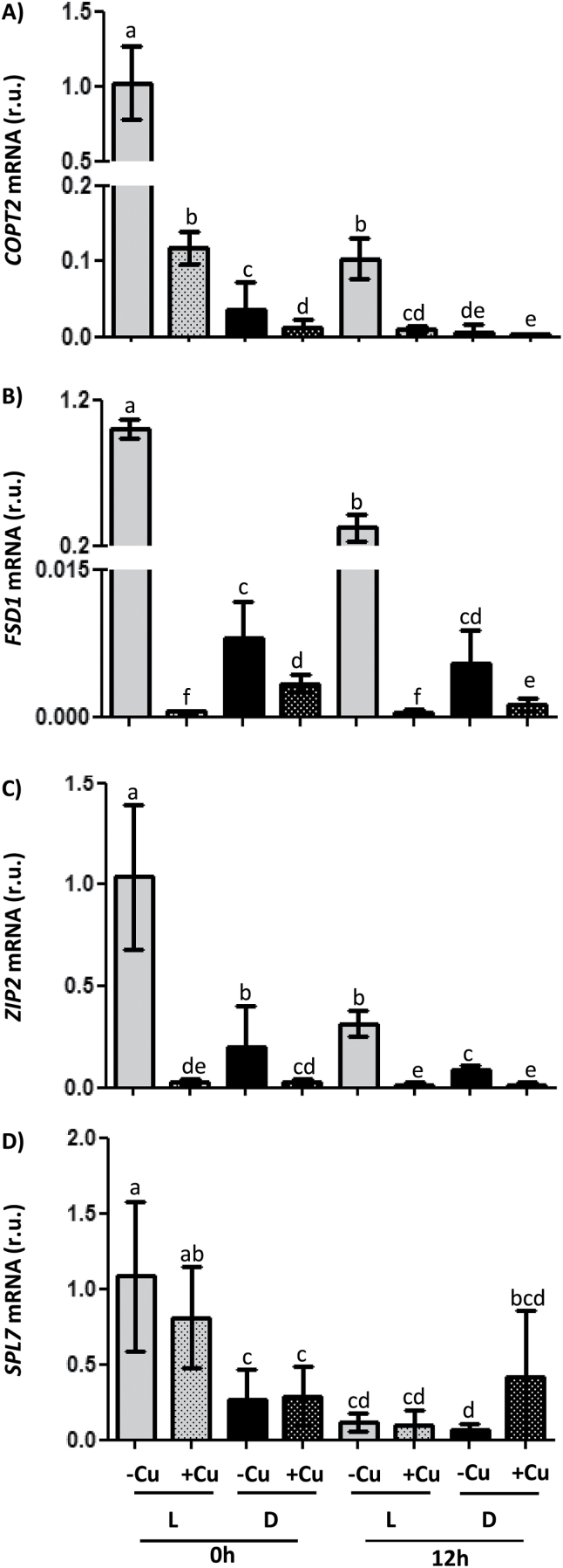 Fig. 4.