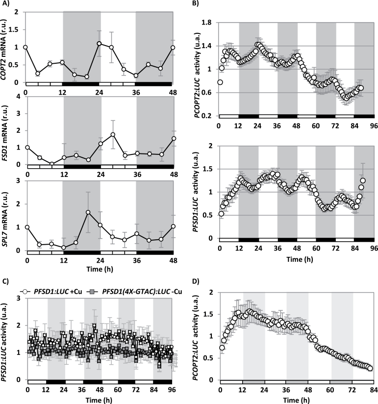 Fig. 2.