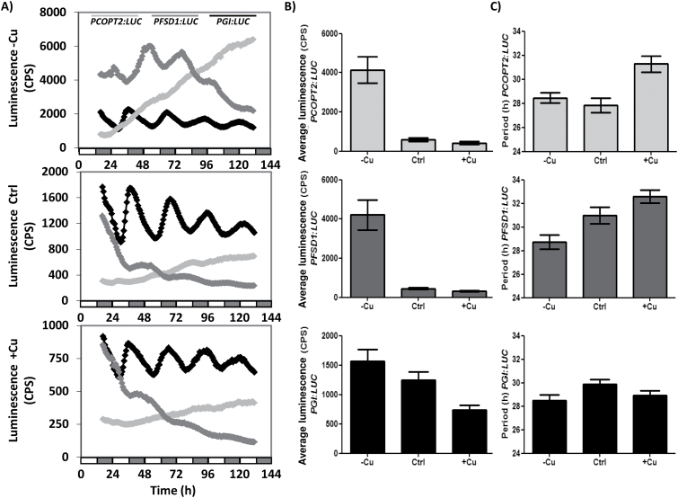 Fig. 3.