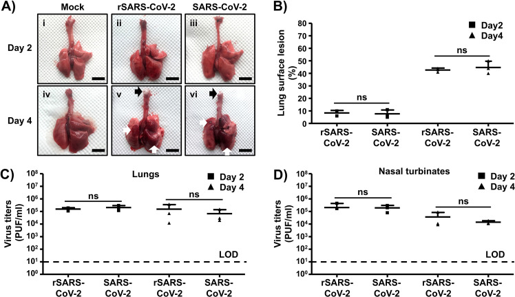 FIG 4