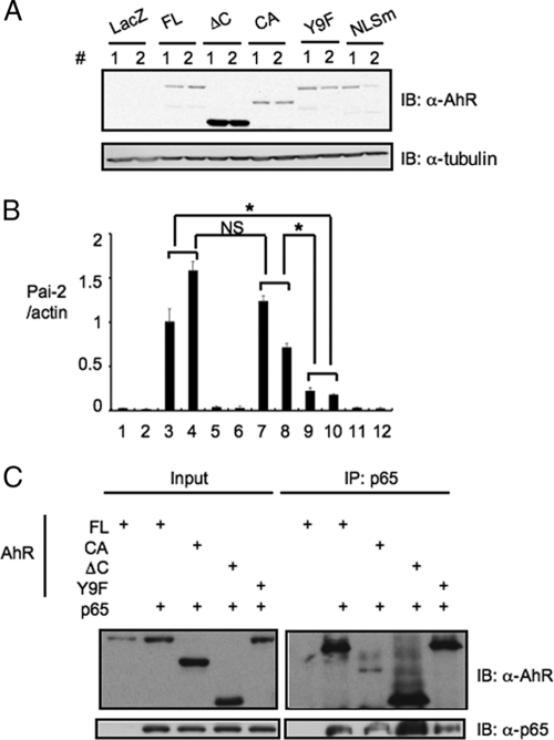 FIG. 6.