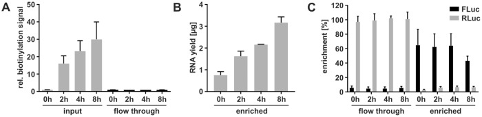 Fig 5