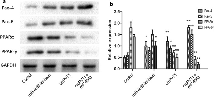 Fig. 4