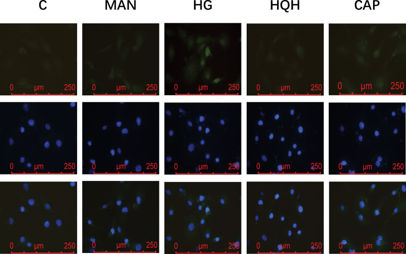 Figure 13.